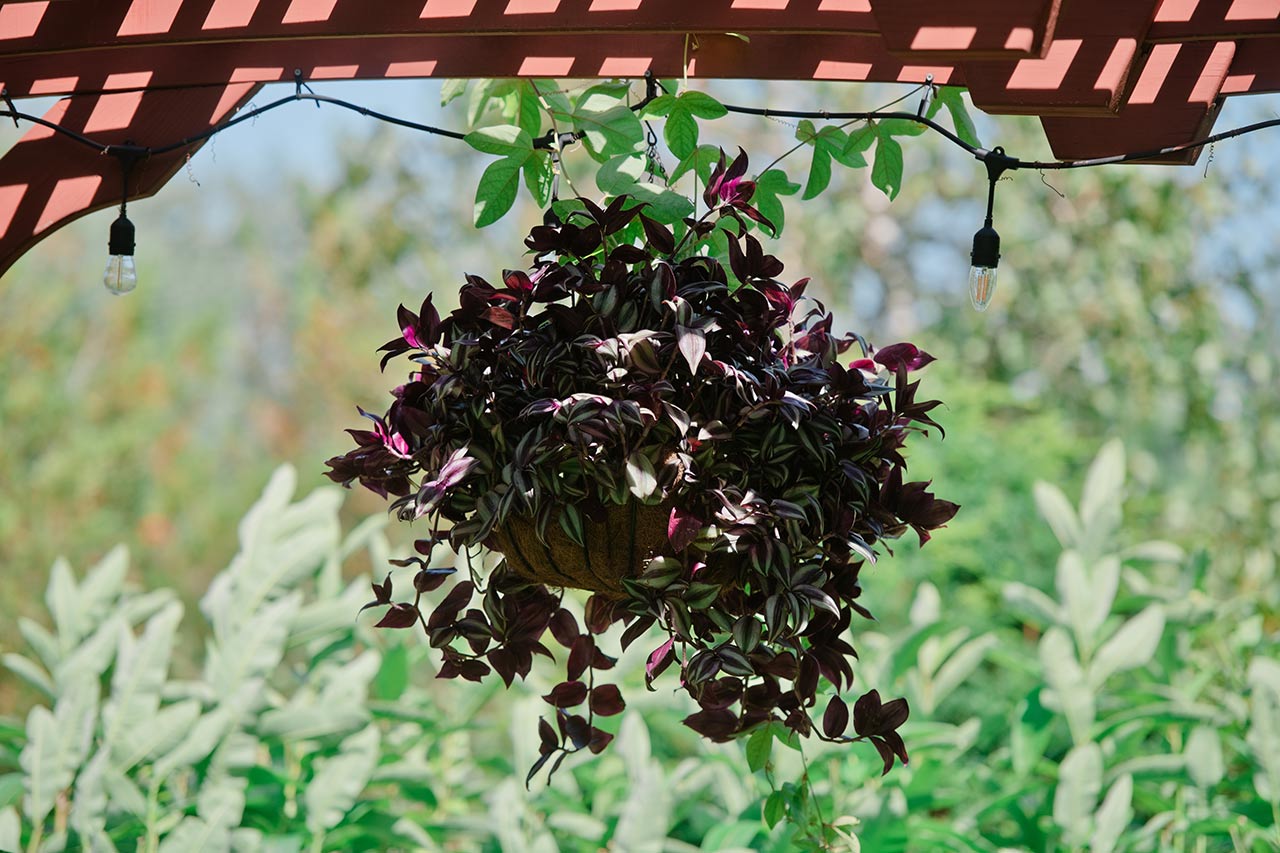 Garden wedding details at Publick House Historic Inn in Sturbridge